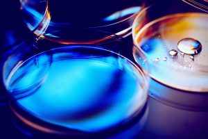 Antimicrobicoresistenza, al Biotecnopolo Siena le eccellenze della ricerca italiana a confronto sulla sicurezza sanitaria