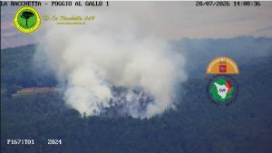 Incendio a Sovicille, brucia il bosco a Bagnaia: in azione due elicotteri e oltre 10 squadre