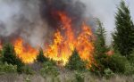 Antincendio boschivo, Sarteano rinnova l’ordinanza per la prevenzione