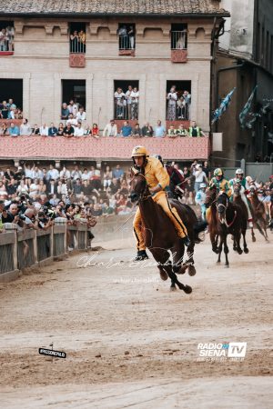 Palio di luglio 2026, le altre buste