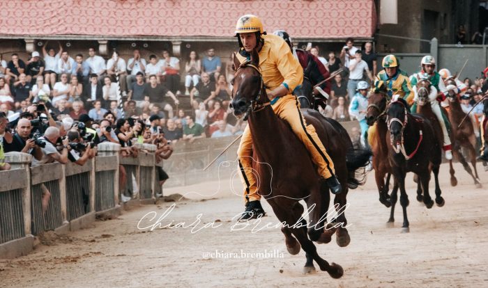 Palio di luglio 2026, le altre buste