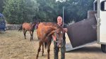 Palio di agosto, Colagè alle previsite: “Benitos sta benissimo, le chiacchiere ci sono sempre”