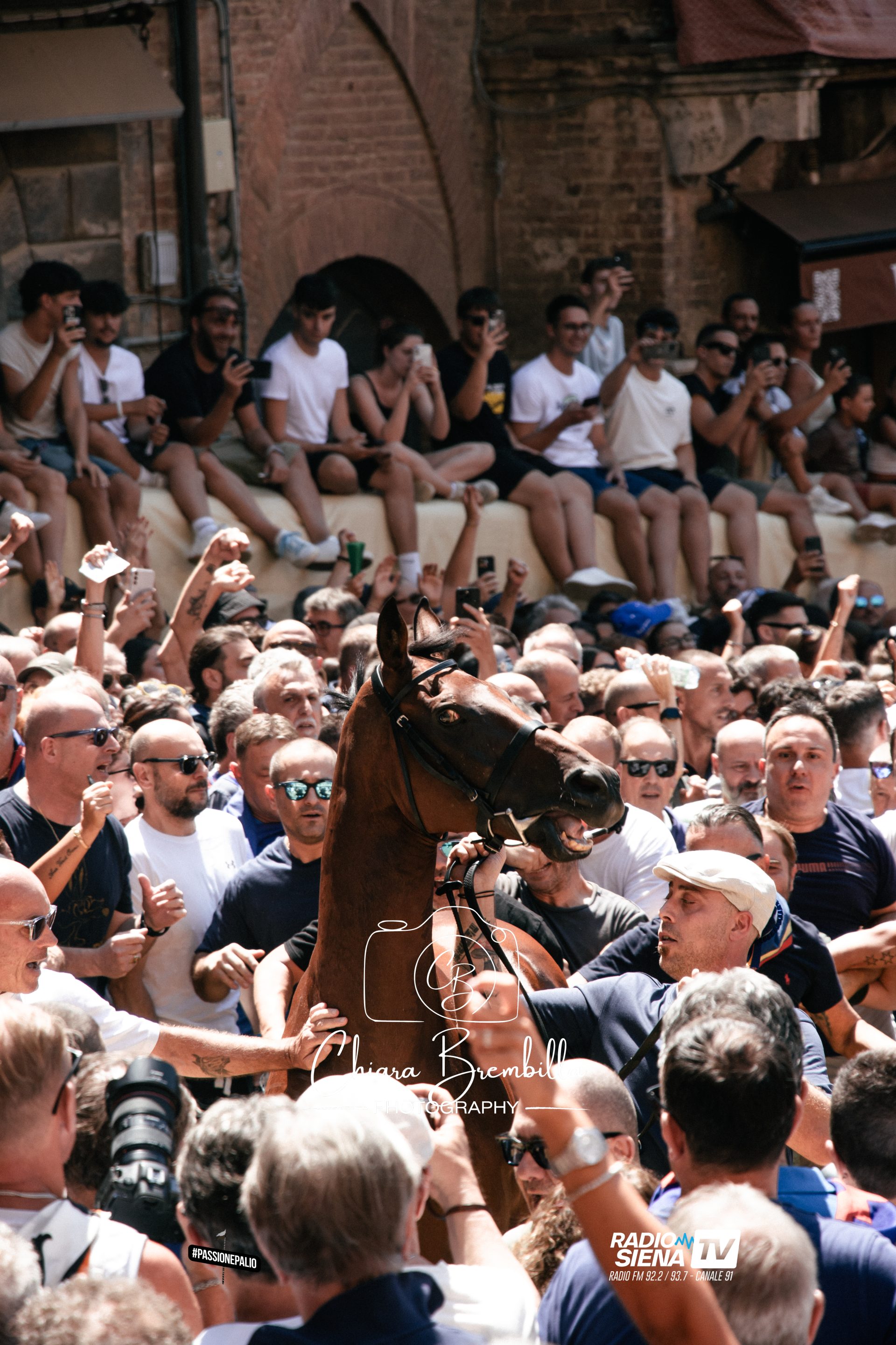 Palio di Siena, le emozioni dell'assegnazione dei cavalli