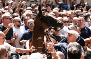Palio di Siena, le emozioni dell'assegnazione dei cavalli