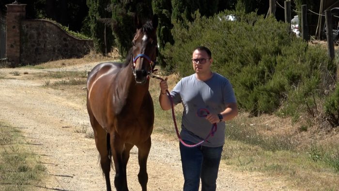 Palio di agosto. Gingillo porta Comancio alle previsite