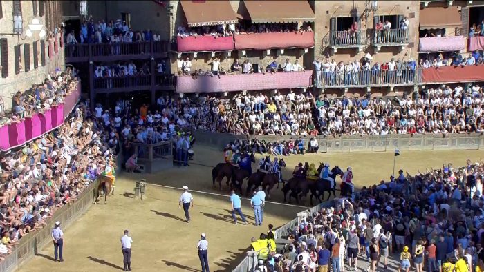 Palio di Siena, ecco l'ordine ai canapi della Provaccia