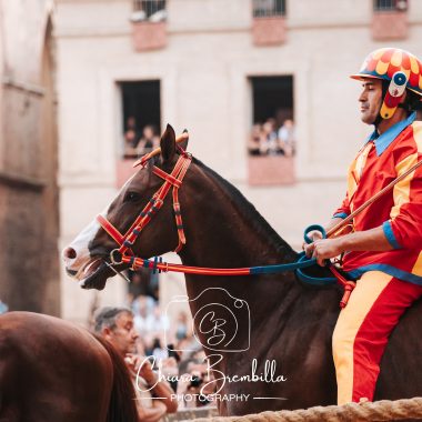 Palio 18 agosto 2026 corsa (11)