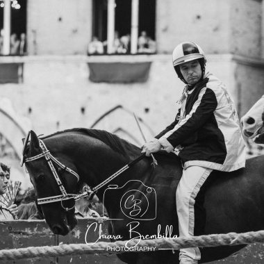 Palio 18 agosto 2026 corsa (12)