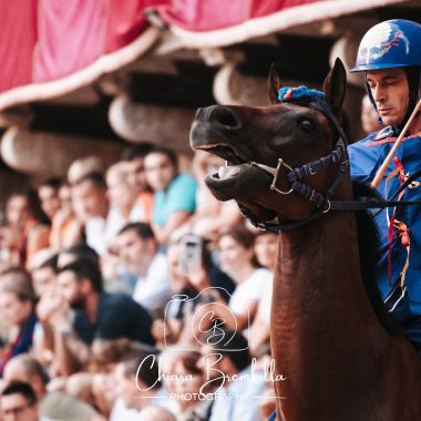 Palio 18 agosto 2026 corsa (17)