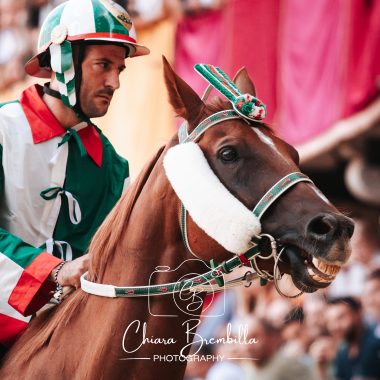 Palio 18 agosto 2026 corsa (19)