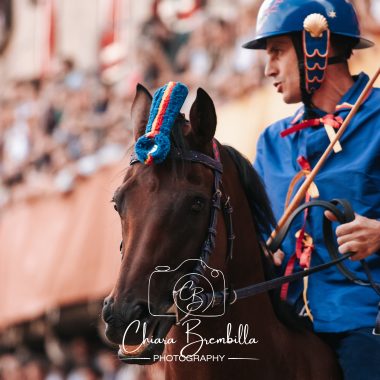 Palio 18 agosto 2026 corsa (20)