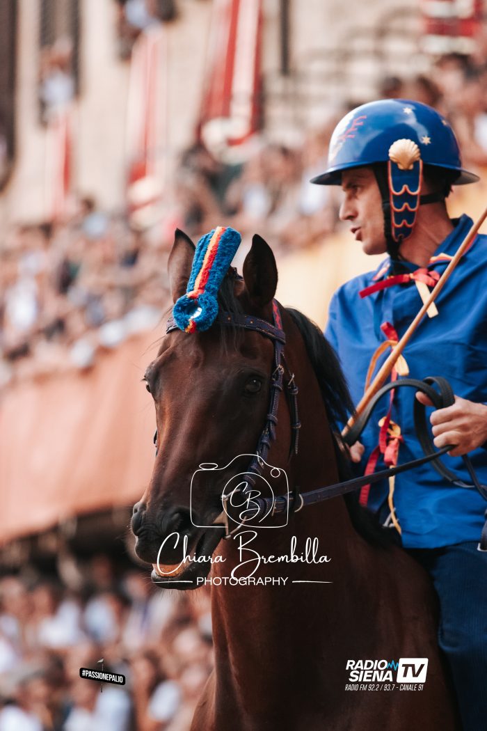 Palio, formulati gli addebiti di contestazione delle Carriere 2026