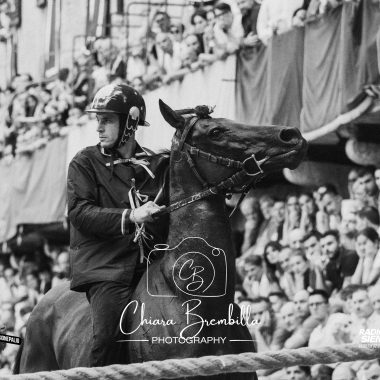 Palio 18 agosto 2026 corsa (27)