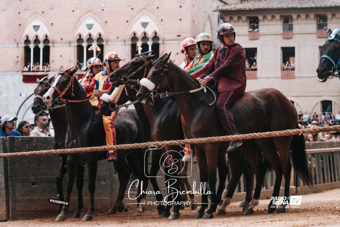 Palio 2026: &egrave; tempo di riflessioni