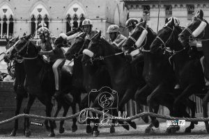 Palio di Siena, Protocollo Equino 2026: definiti i criteri per l&rsquo;assegnazione dei contributi