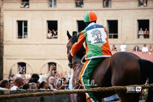 Palio di Siena, l'ordine d'ingresso ai canapi della terza prova