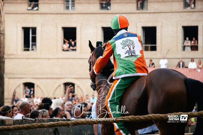 Palio di Siena, l'ordine d'ingresso ai canapi della terza prova