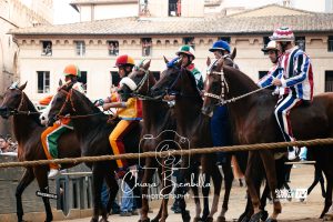 Palio di Siena 16 agosto, le foto della prima prova
