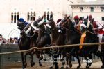 Palio di Siena, si avvicina il momento della giustizia paliesca