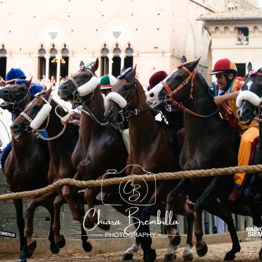 Prova generale Palio agosto 2026 (50)