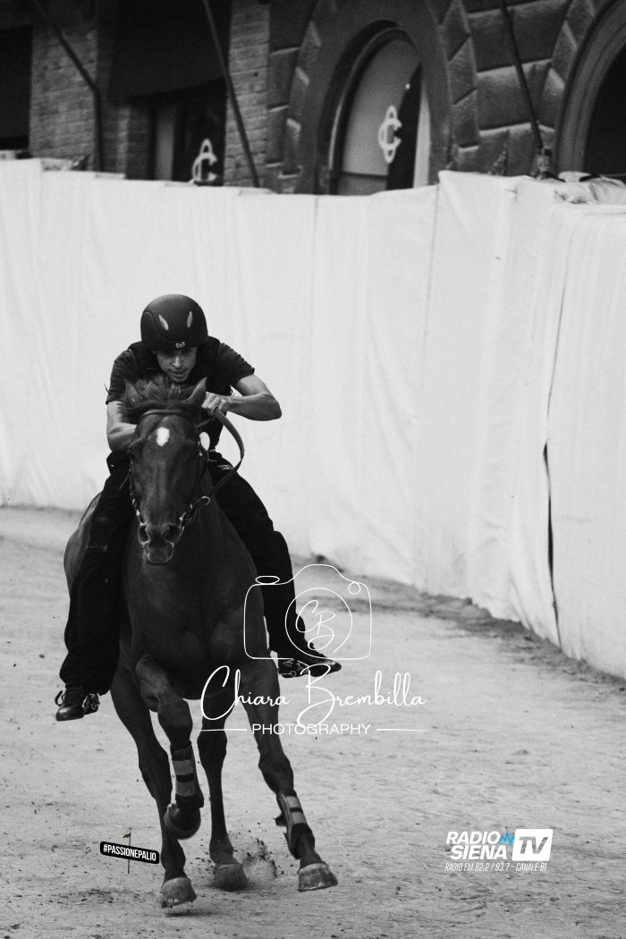 Palio di Siena, tutti gli orari della Carriera di agosto