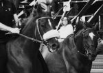 Palio di Siena 16 agosto, ecco il quadro delle accoppiate