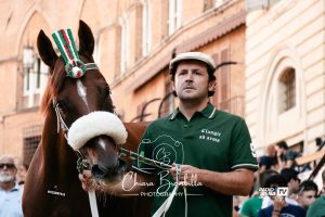 Palio di Siena, agosto 2026, l'ordine d'ingresso ai canapi della Prova generale