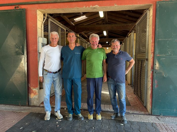 Palio di agosto, il veterinario Minniti: "I tre cavalli "big" stanno bene, non sono attese sorprese"