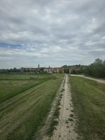 Sicurezza idraulica a Buonconvento: completata la manutenzione dell’Ombrone