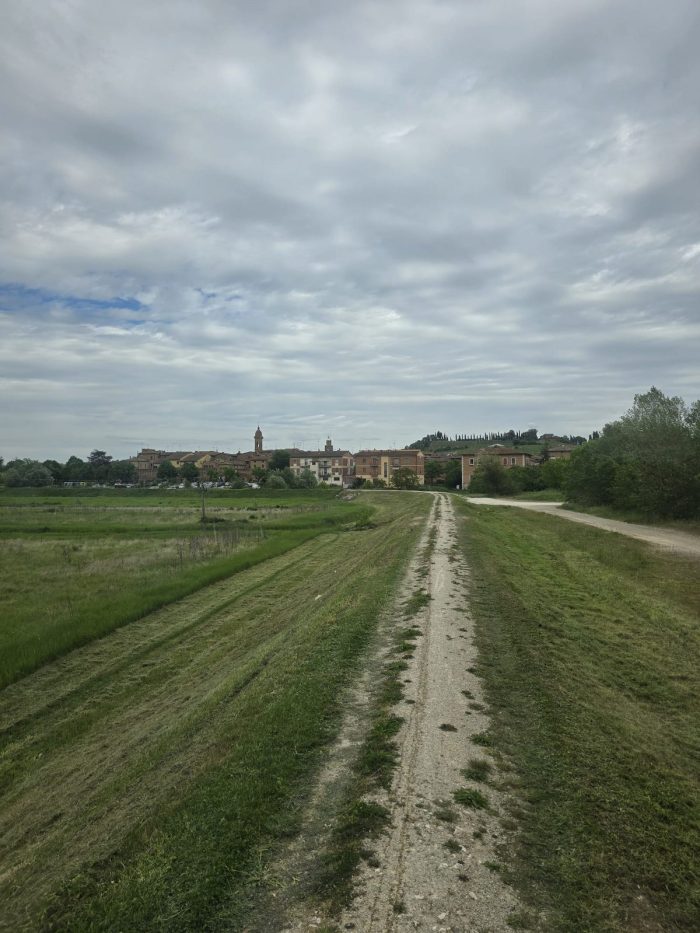 Sicurezza idraulica a Buonconvento: completata la manutenzione dell'Ombrone