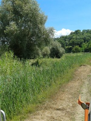 Asciano, manutenzione sul borro La Copra: intervento del Consorzio di Bonifica per garantire il regolare deflusso delle acque