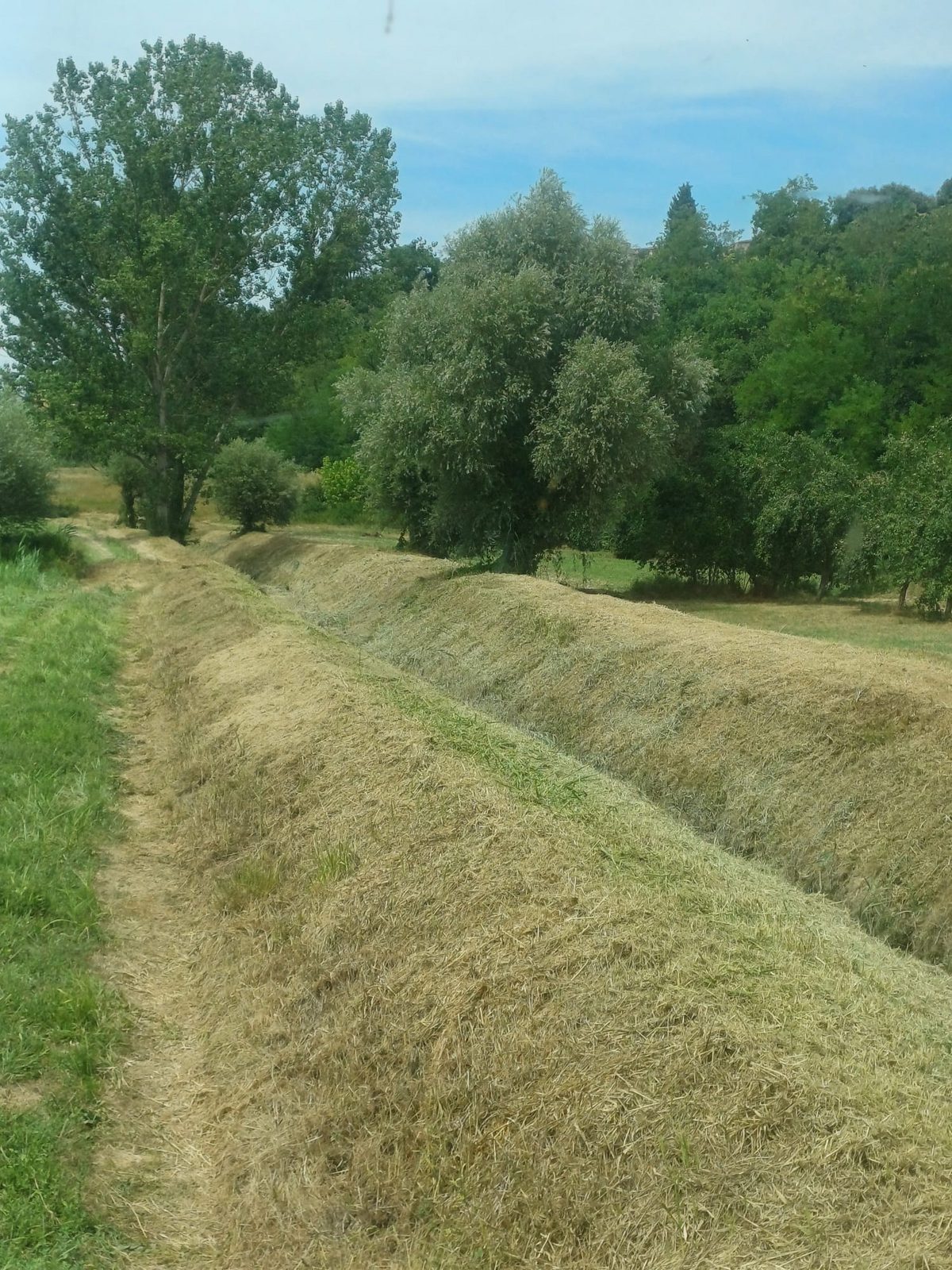 comunicato consorzio di bonifica Cb6