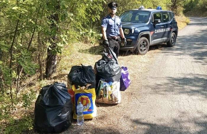 Castelnuovo Berardenga, scoperto e smantellato un covo dello spaccio nei boschi di Catignano