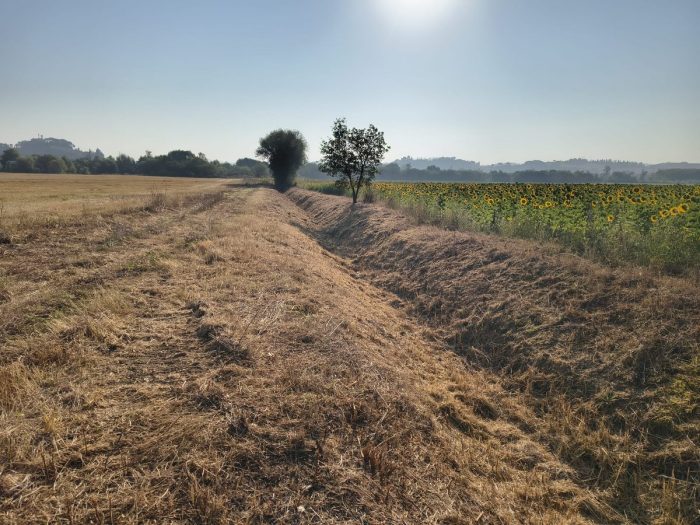 Buonconvento, manutenzione sul fosso Bonifangole