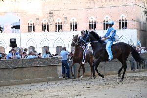 Palio di Siena, ecco l'ordine ai canapi della Seconda Prova