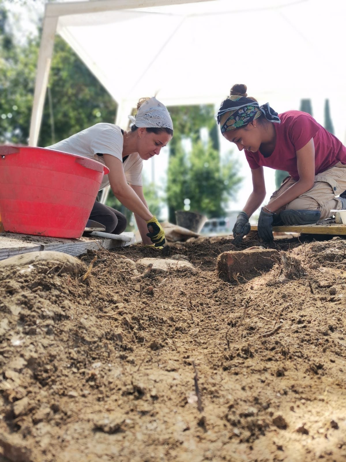 Montepulciano, ripresi gli scavi al sito archeologico di Fontegrande ad Acquavi…