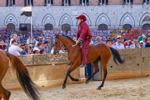 Palio di Siena, la Contrada della Torre vince la Quarta Prova