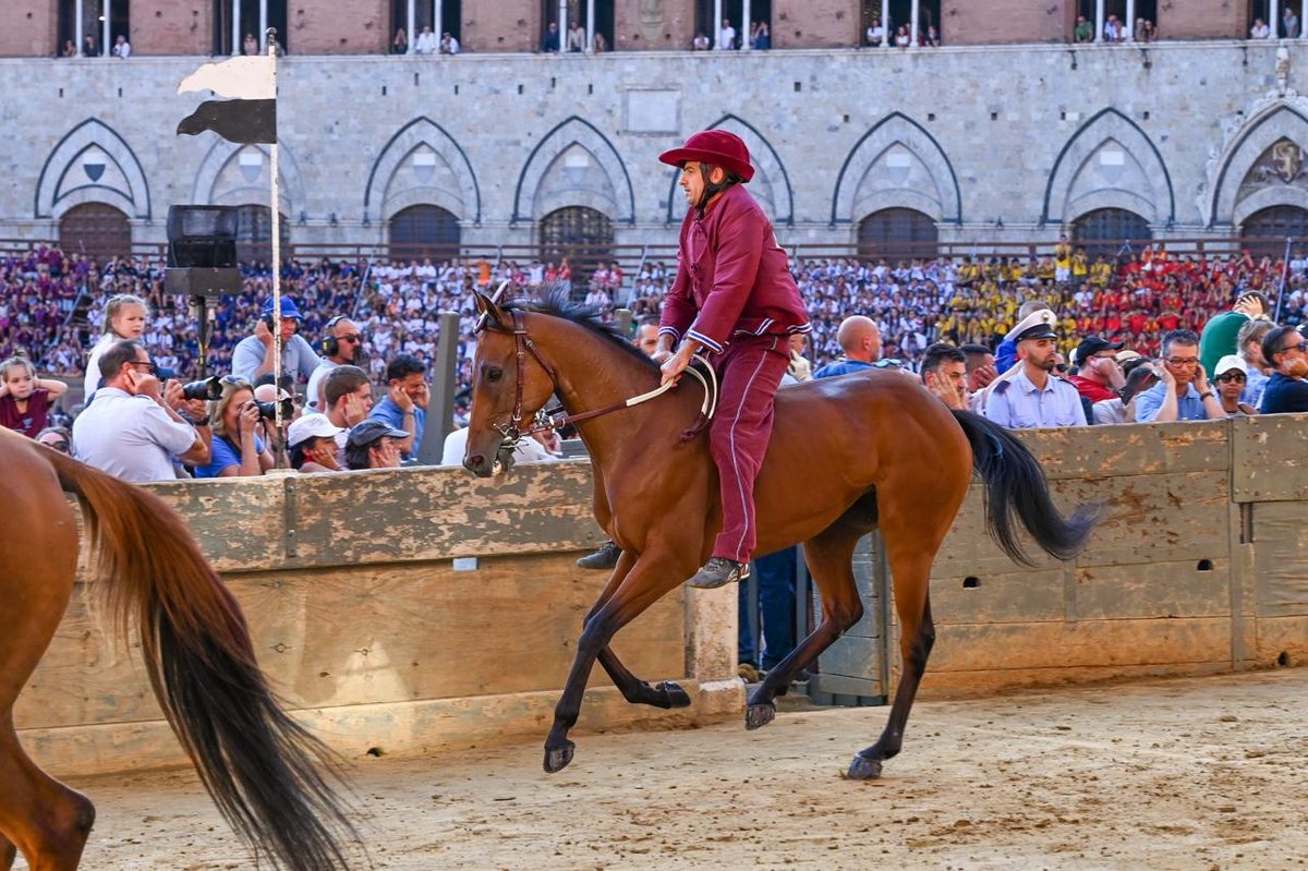 Palio di Siena, la Contrada della Torre vince la Quarta Prova