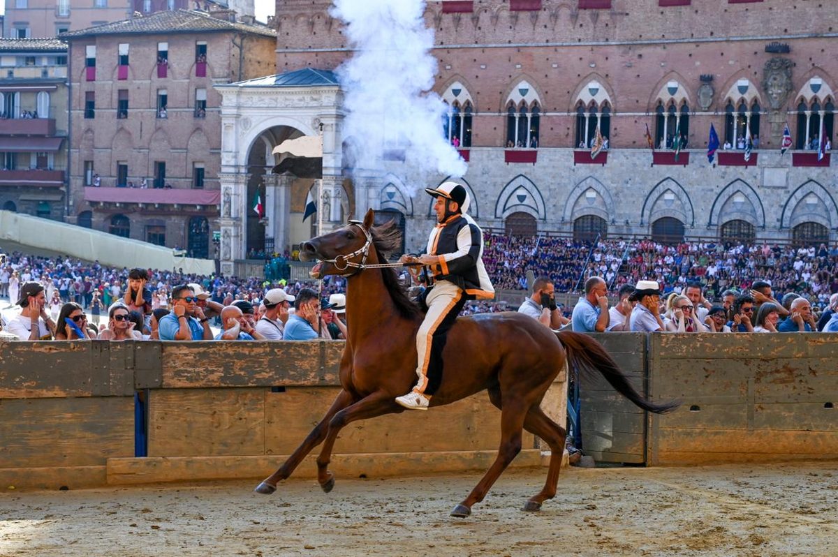 Palio di Siena, la Lupa vince la Provaccia