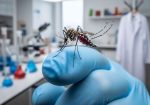 Zanzare e West Nile, Rappuoli: “Lo scenario è cambiato, serve una difesa permanente”