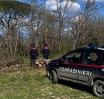 Poggibonsi, i Carabinieri Forestali bloccano un pusher e sequestrano droga, denaro e coltello