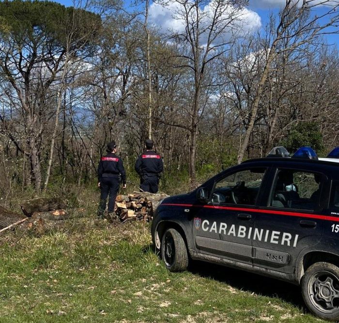 Poggibonsi, i Carabinieri Forestali bloccano un pusher e sequestrano droga, denaro e coltello