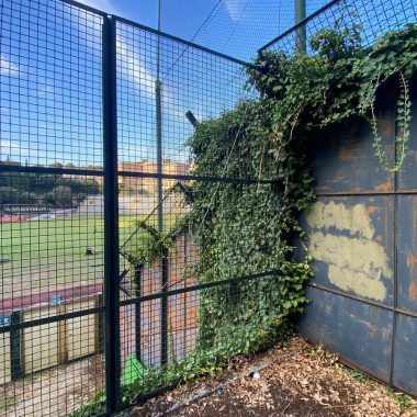 Foto stadio Siena Sostenibile