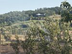 Poggibonsi, domato incendio al Bernino e viabilità riaperta. Rientrate le famiglie evacuate, ferito un volontario