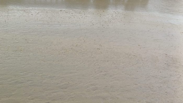Palio e pioggia, i teli di Ferrara possono funzionare a Siena? Le differenze con Piazza del Campo