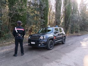 Droga, i Carabinieri scoprono un bivacco nei boschi di Pienza