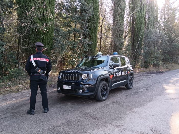 Droga, i Carabinieri scoprono un bivacco nei boschi di Pienza