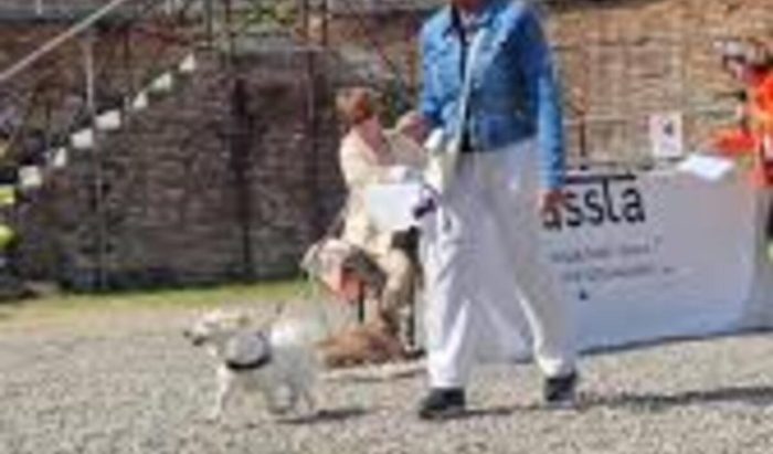 Siena, torna &ldquo;Can..ASSTA!&rdquo;: in Fortezza la sfilata canina per aiutare gli animali meno fortunati