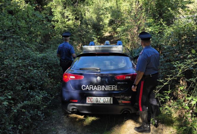 Nascosto nel bosco con cocaina, eroina e hashish: arrestato un 19enne a Poggibonsi