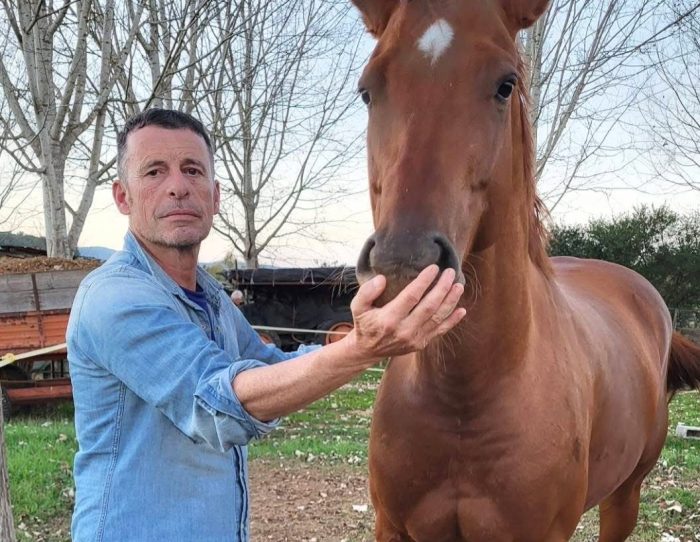Palio di Siena, il cavallo Compilation va in pensione